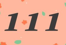 111 meaning