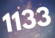 1133 angel number