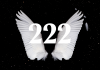 222 meaning