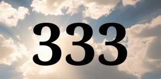 What does 333 mean
