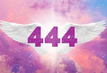 Angel 444