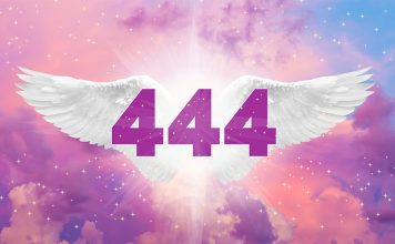 Angel 444