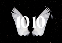 Angel number 1010
