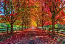 First day of fall 2022