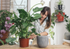Hobbies for women