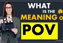 Pov meaning