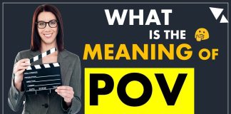 Pov meaning