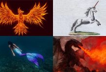 Mythical creatures