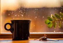 Wisdom good morning quotes